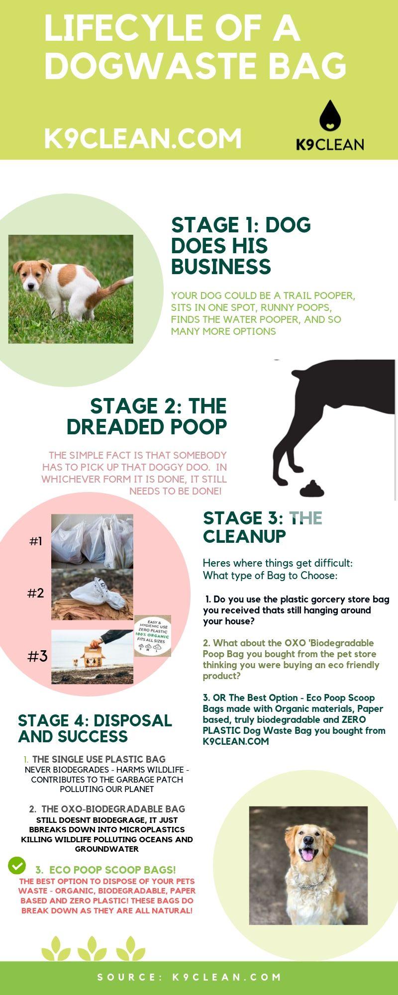 eco dog poop disposal