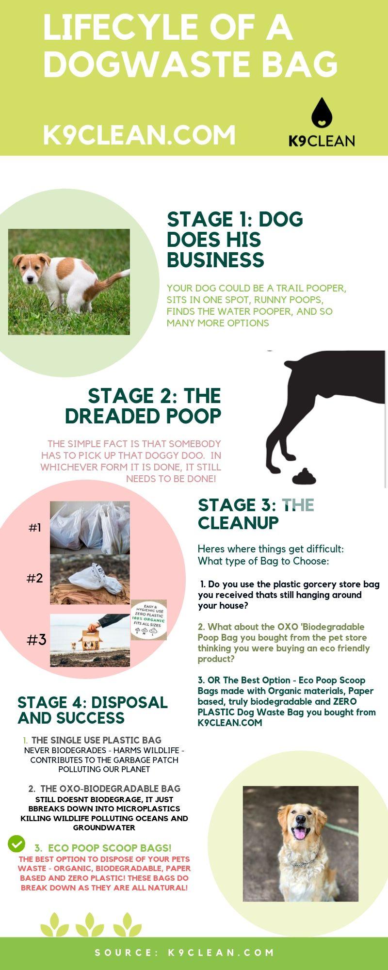 Dog Poop Bags: Breaking Down How Dog Waste Bags Break Down